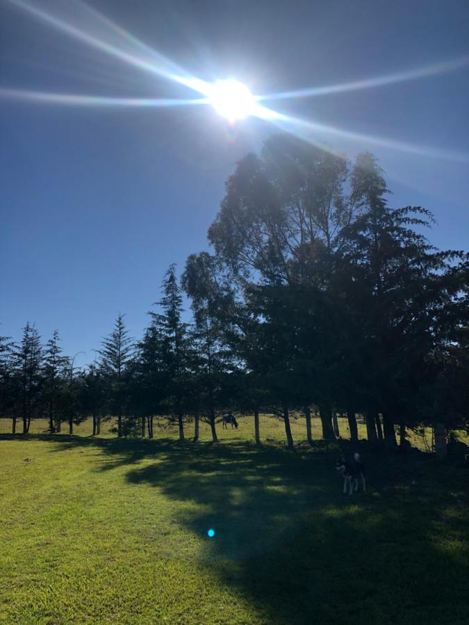 Hotel Boutique Calderon Huasca de Ocampo Kültér fotó