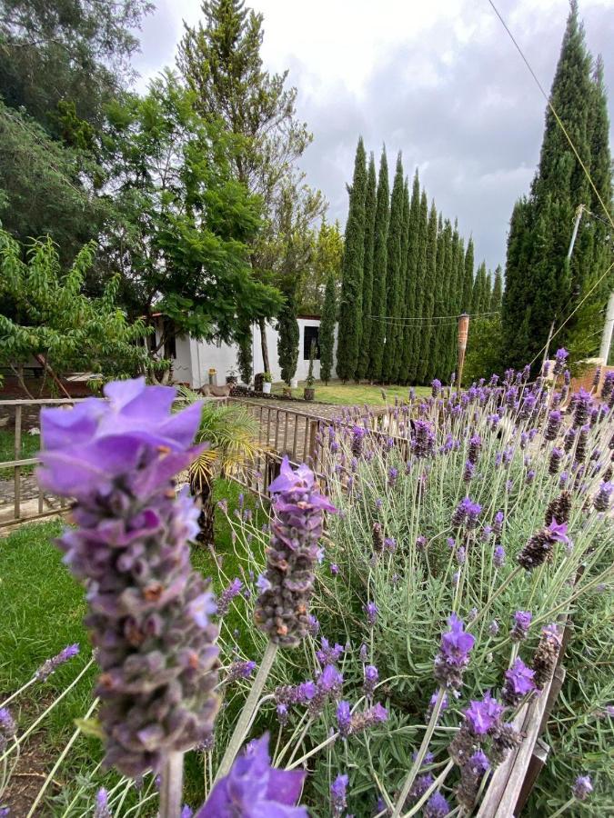 Hotel Boutique Calderon Huasca de Ocampo Kültér fotó